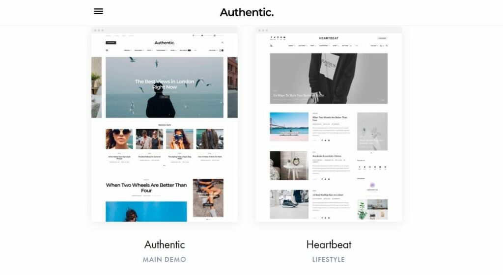 Premium wordpress theme Authentic