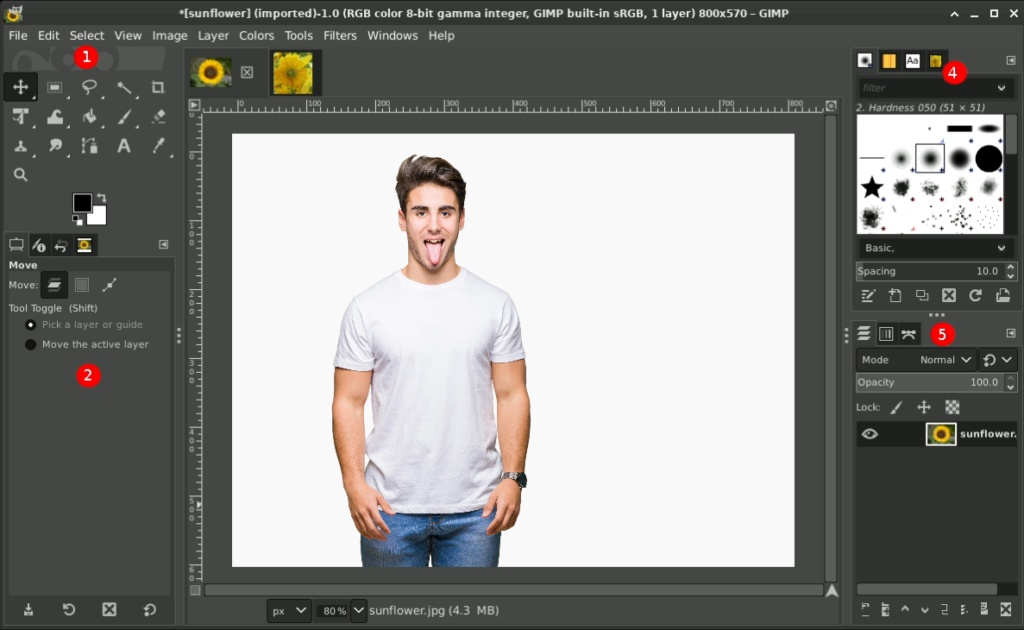 12 Best graphic design software for t-shirts 9 Design software for t-shirts
